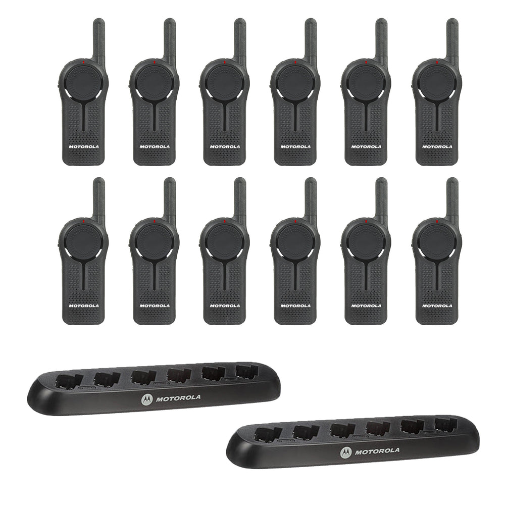 DLR1020 12 Pack with Multi Unit Charger